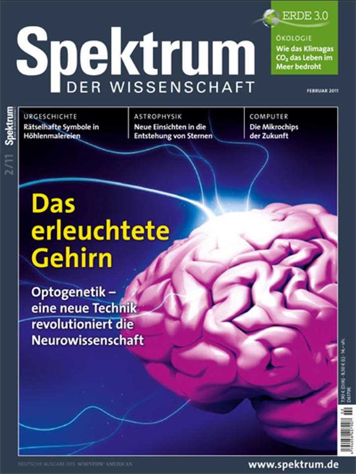 Spektrum der Wissenschaft - 2/2011 - Februar 2011