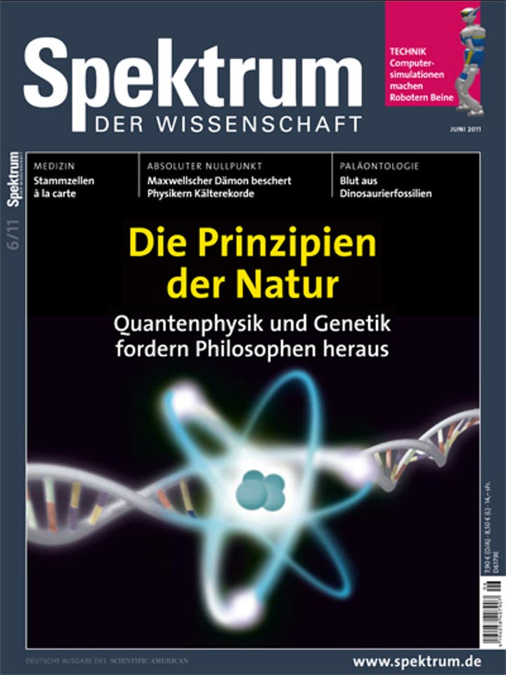 Spektrum der Wissenschaft – 6/2011 – Doie Prinzipien der Natur