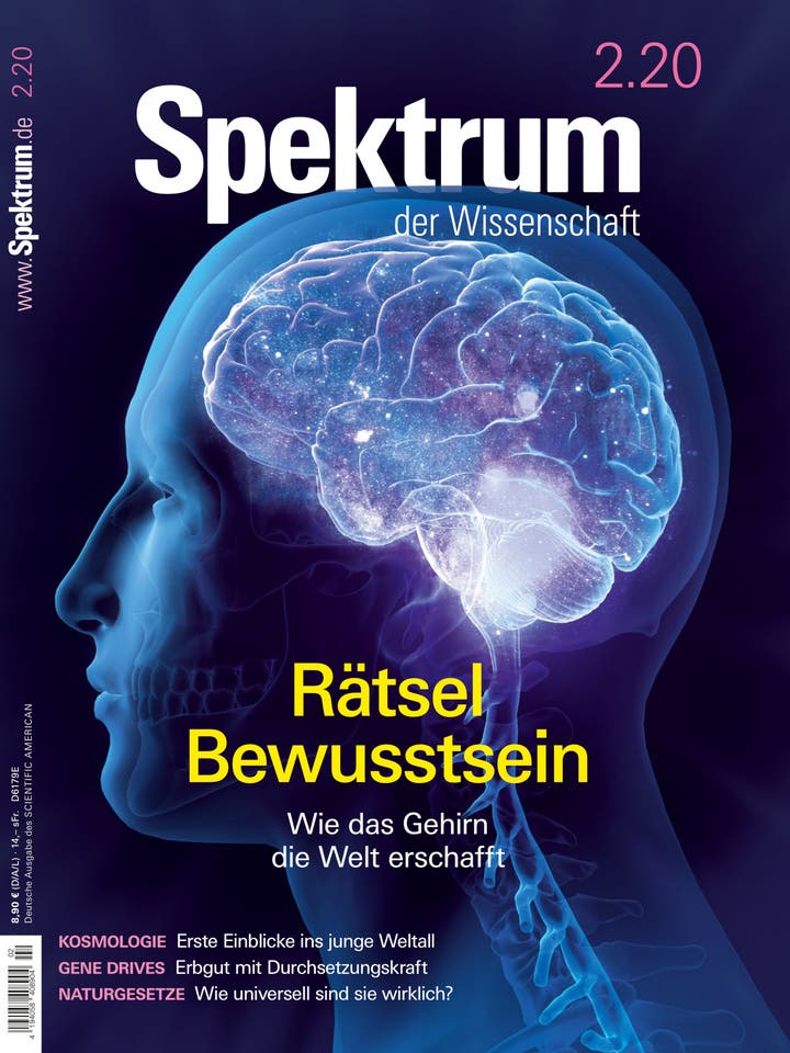 Spektrum der Wissenschaft – 2/2020 – Rätsel Bewusstsein – Wie das Gehirn die Welt erschafft