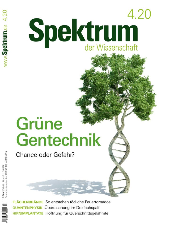 Spektrum der Wissenschaft - 4/2020 - Grüne Gentechnik: Chance oder Gefahr?