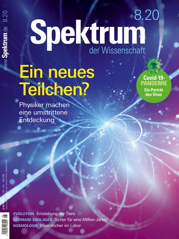 Spektrum der Wissenschaft – 8/2020 – Ein neues Teilchen?