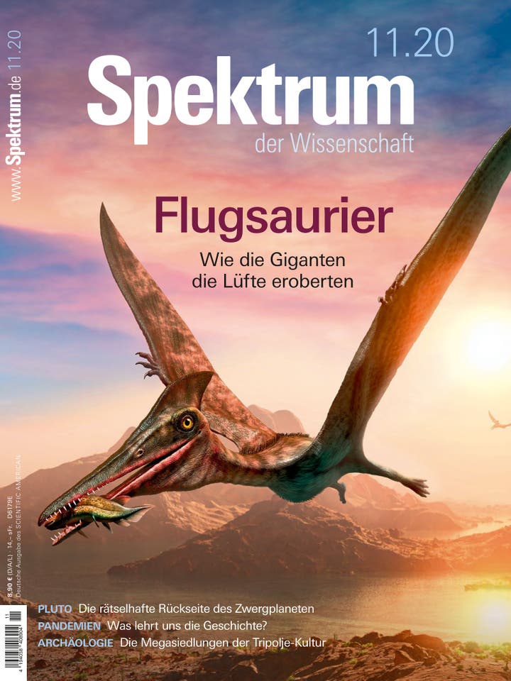 Spektrum der Wissenschaft – 11/2020 – Flugsaurier