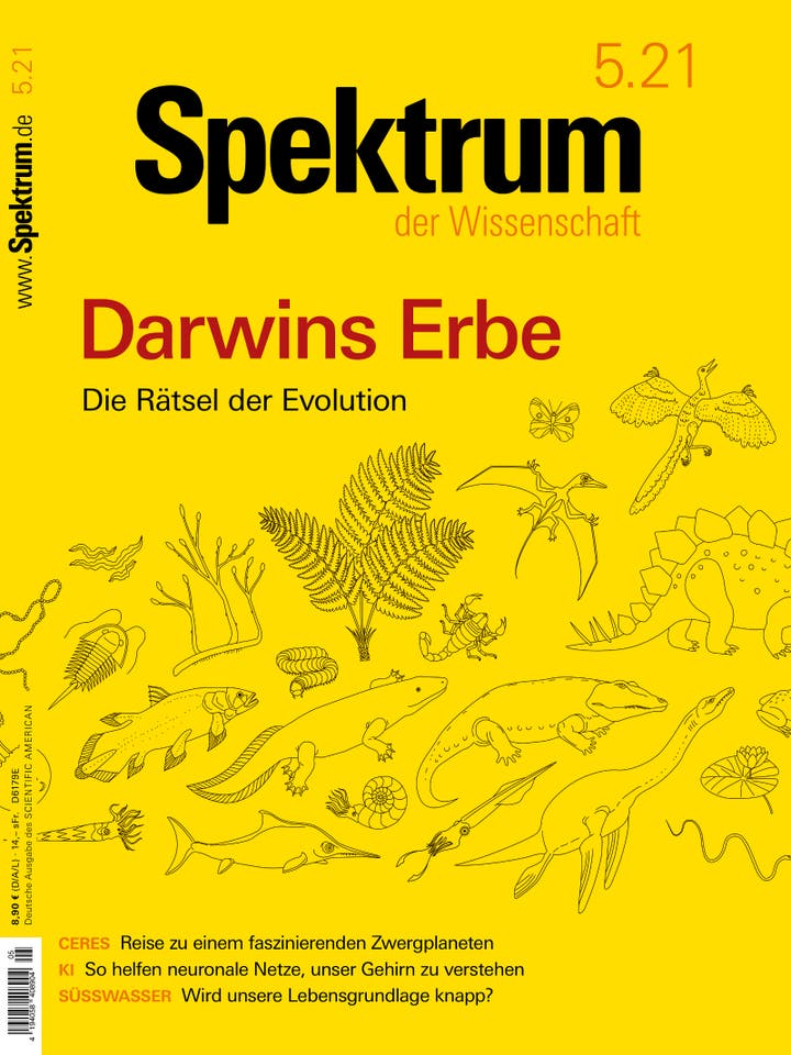 Spektrum der Wissenschaft:  Darwins Erbe