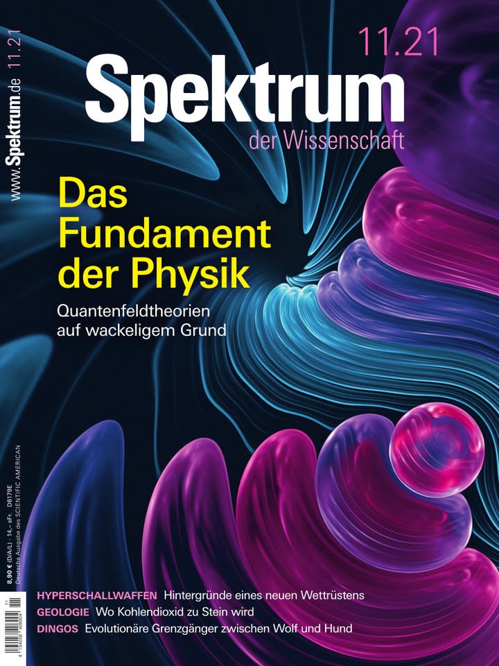 Spektrum der Wissenschaft – 11/2021 – Das Fundament der Physik