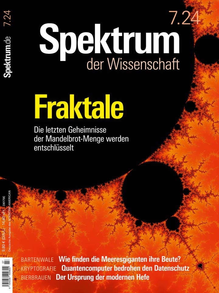 Spektrum der Wissenschaft - 7/2024 - Fraktale