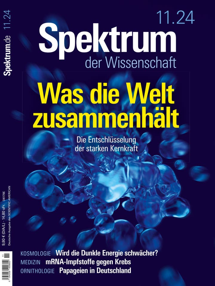 Spektrum der Wissenschaft - 11/2024 - Was die Welt zusammenhält – Die Entschlüsselung der starken Kernkraft