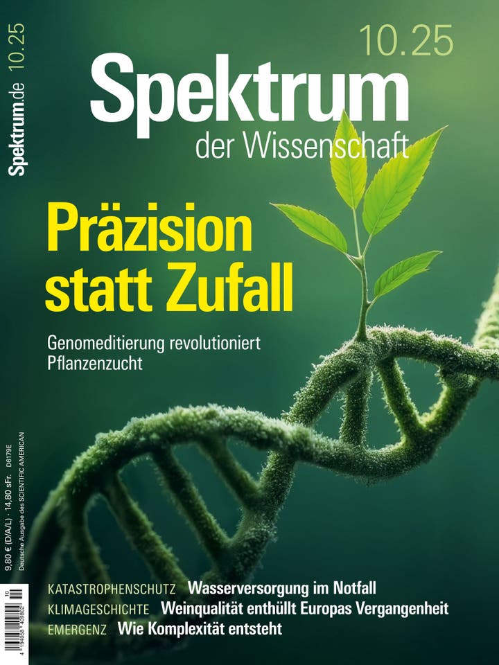 Titelbild der Zeitschrift "Spektrum der Wissenschaft" vom Oktober 2025. Im Vordergrund ist eine DNA-Helix abgebildet, aus der ein junger Pflanzentrieb wächst. Der Text auf dem Cover lautet: "Präzision statt Zufall: Genomeditierung revolutioniert Pflanzenzucht". Weitere Themen sind Katastrophenschutz: Wasserversorgung im Notfall, Klimageschichte und Entstehung von Komplexität.