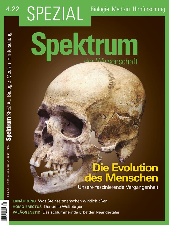 Spektrum der Wissenschaft Spezial Biologie - Medizin - Hirnforschung - 4/2022 - Die Evolution des Menschen