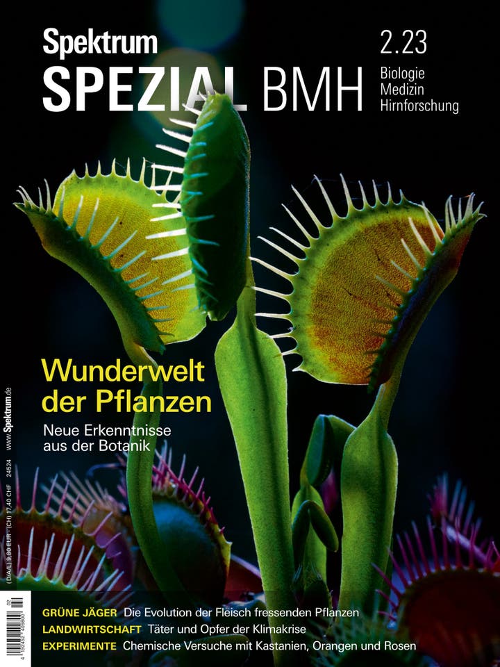 Spektrum der Wissenschaft Spezial Biologie - Medizin - Hirnforschung - 2/2023 - Wunderwelt der Pflanzen