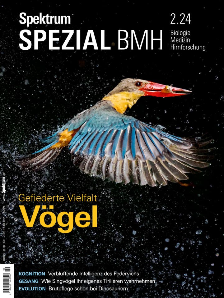 Spektrum der Wissenschaft Spezial Biologie - Medizin - Hirnforschung - 2/2024 - Vögel - Gefiederte Vielfalt