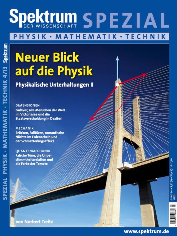 Spektrum der Wissenschaft Spezial Physik - Mathematik - Technik - 4/2013 - Neuer Blick auf die Physik