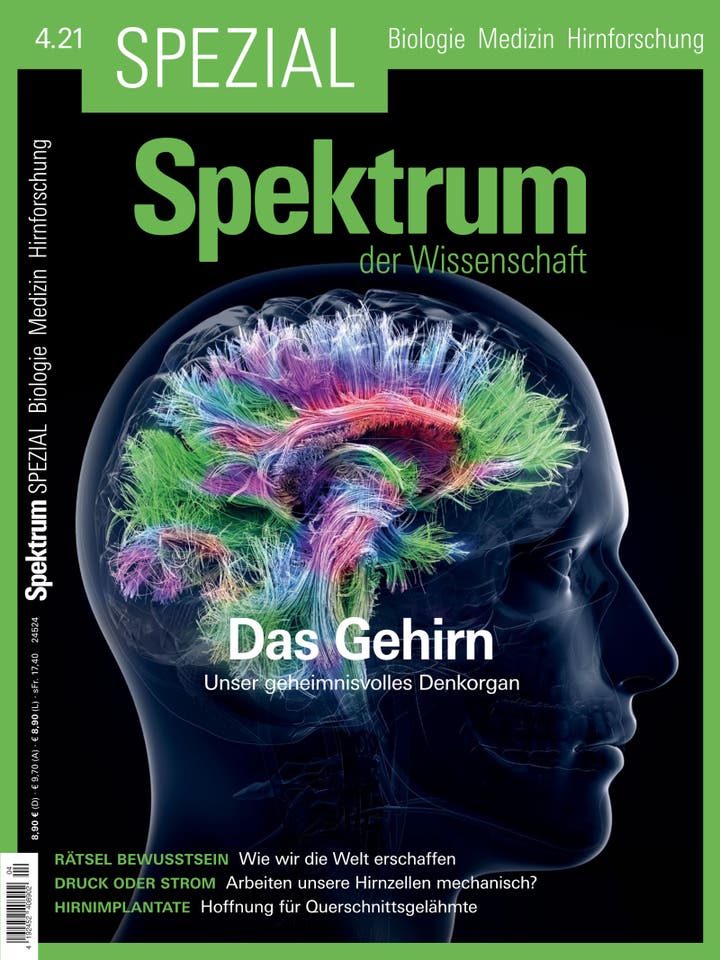 Spektrum der Wissenschaft Spezial Biologie - Medizin - Hirnforschung - 4/2021 - Das Gehirn