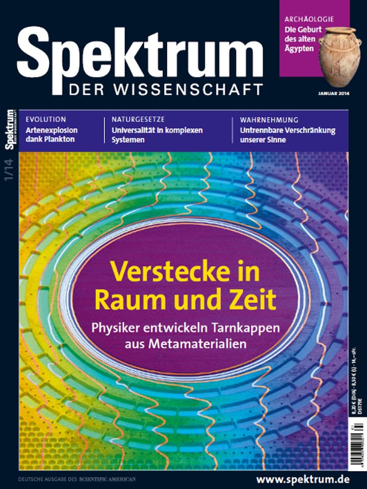 Spektrum der Wissenschaft - 1/2014 - Verstecke in Raum und Zeit