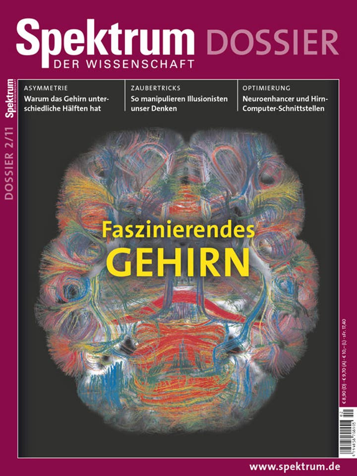 Spektrum der Wissenschaft - 2/2011 - Faszinierendes Gehirn