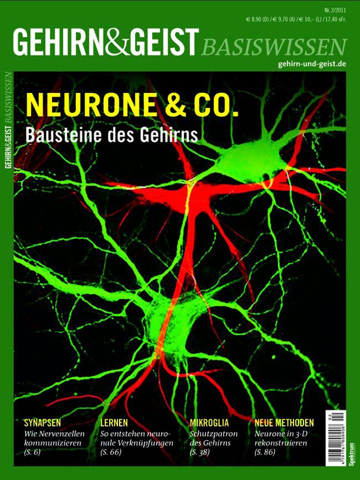 Gehirn&Geist Basiswissen - 2/2011 - Teil 4: Neurone & Co. 