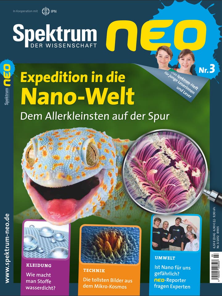 Spektrum neo - 3/2012 - Expedition in die Nano-Welt