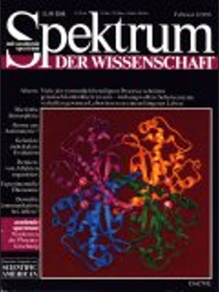 Spektrum der Wissenschaft - 2/1993 - 2 / 1993
