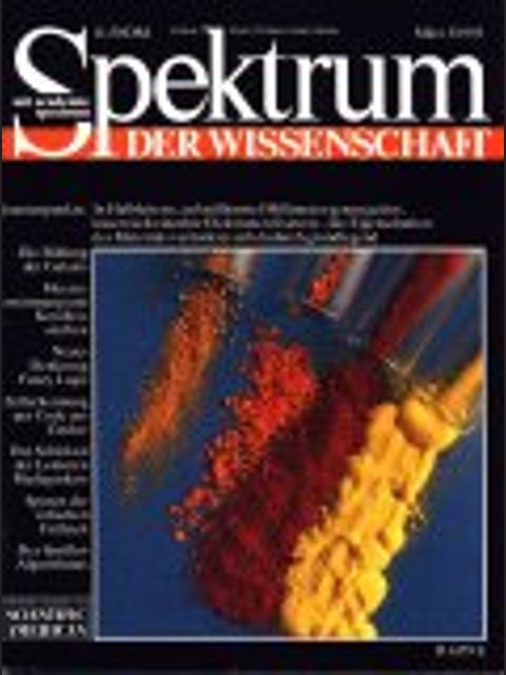 Spektrum der Wissenschaft - 3/1993 - 3 / 1993