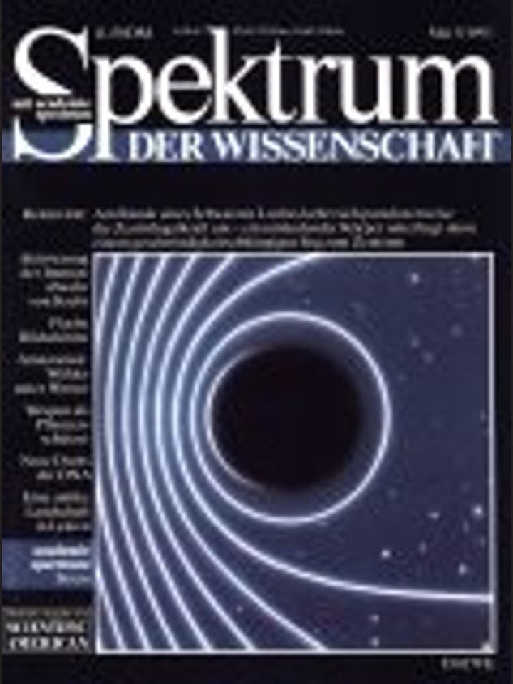 Spektrum der Wissenschaft - 5/1993 - 5 / 1993