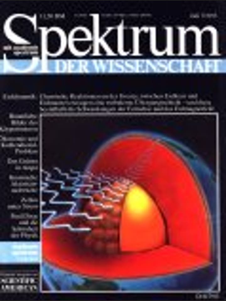 Spektrum der Wissenschaft – 7/1993 – 7 / 1993
