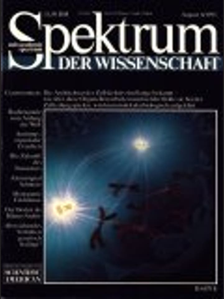 Spektrum der Wissenschaft - 8/1993 - 8 / 1993