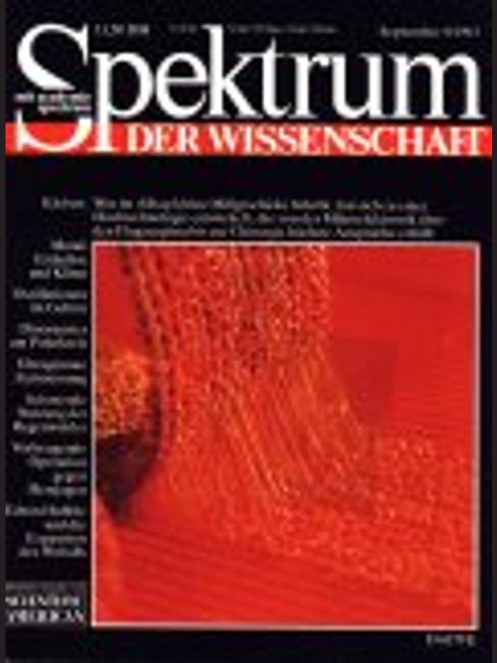 Spektrum der Wissenschaft – 9/1993 – 9 / 1993