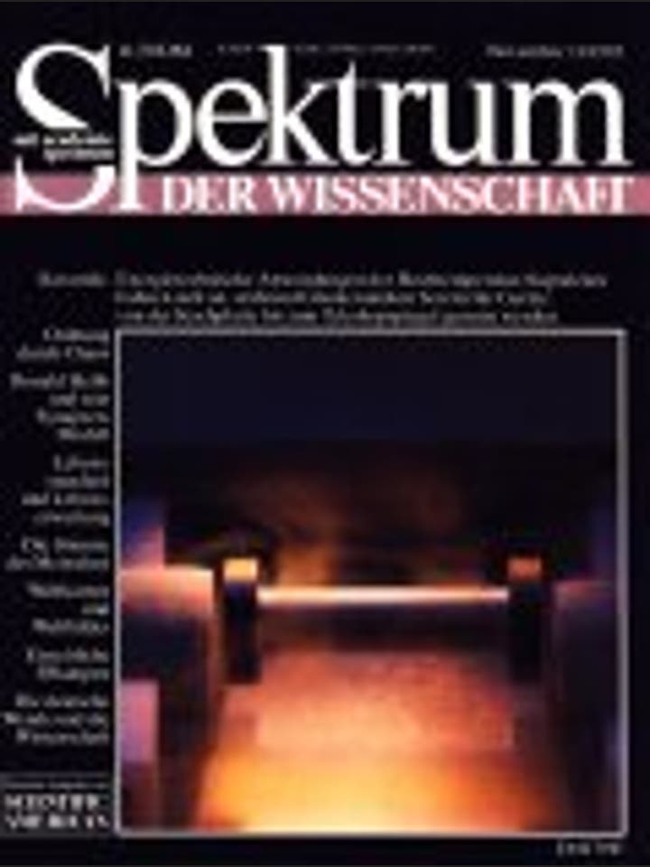 Spektrum der Wissenschaft - 11/1993 - 11 / 1993