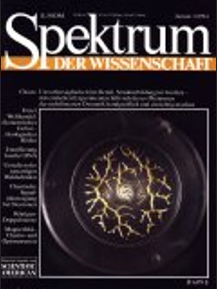 Spektrum der Wissenschaft – 1/1994 – 1 / 1994