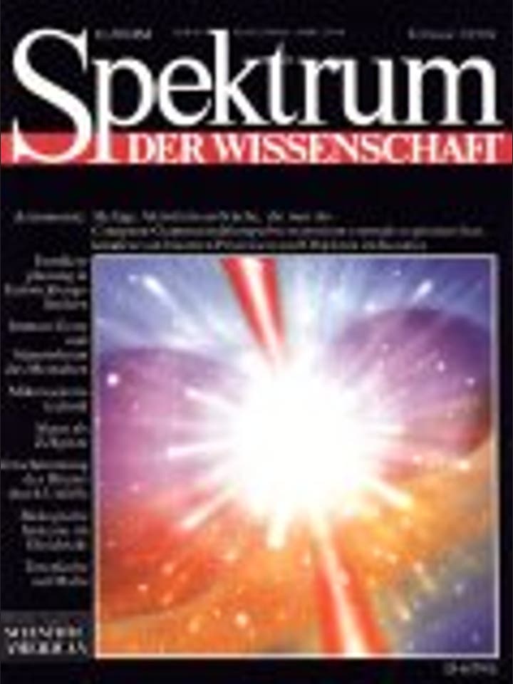 Spektrum der Wissenschaft - 2/1994 - 2 / 1994