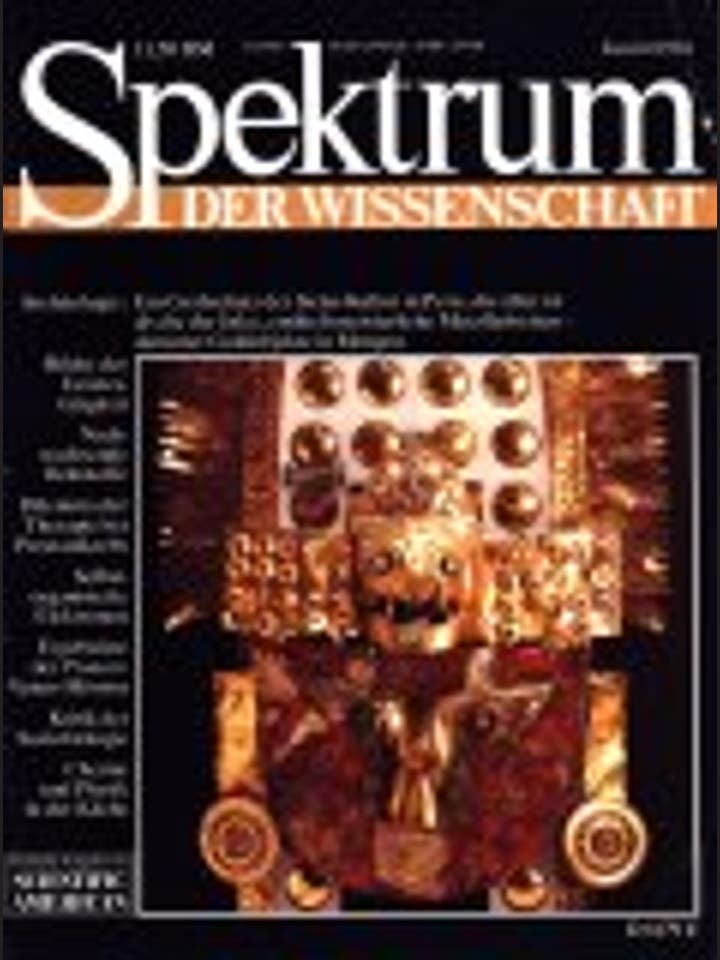 Spektrum der Wissenschaft – 6/1994 – 6 / 1994