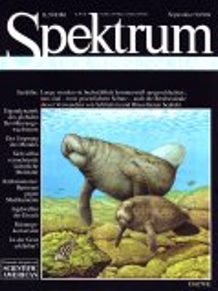 Spektrum der Wissenschaft - 9/1994 - 9 / 1994
