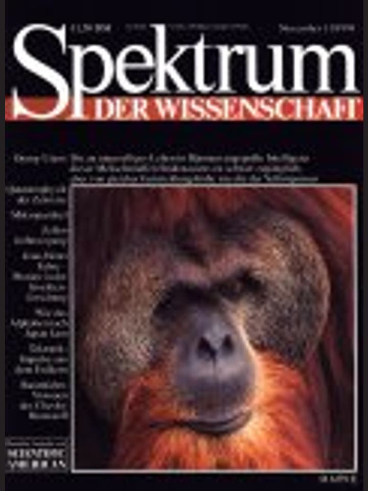 Spektrum der Wissenschaft - 11/1994 - 11 / 1994