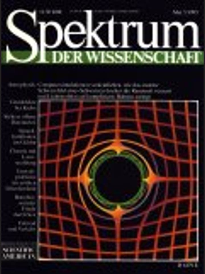 Spektrum der Wissenschaft – 5/1995 – 5 / 1995