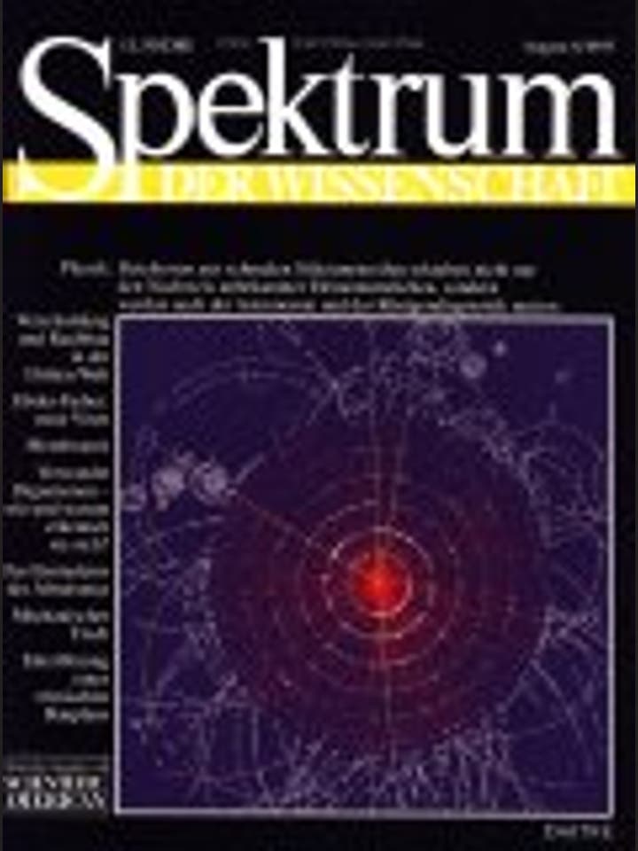 Spektrum der Wissenschaft – 8/1995 – 8 / 1995