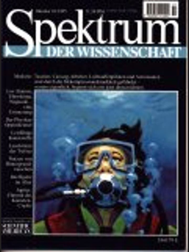 Spektrum der Wissenschaft - 10/1995 - 10 / 1995