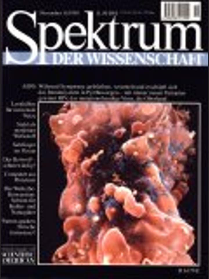 Spektrum der Wissenschaft – 11/1995 – 11 / 1995