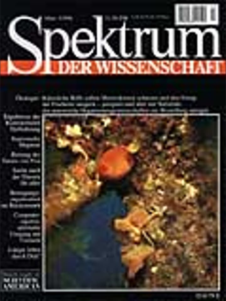 Spektrum der Wissenschaft – 3/1996 – 3 / 1996