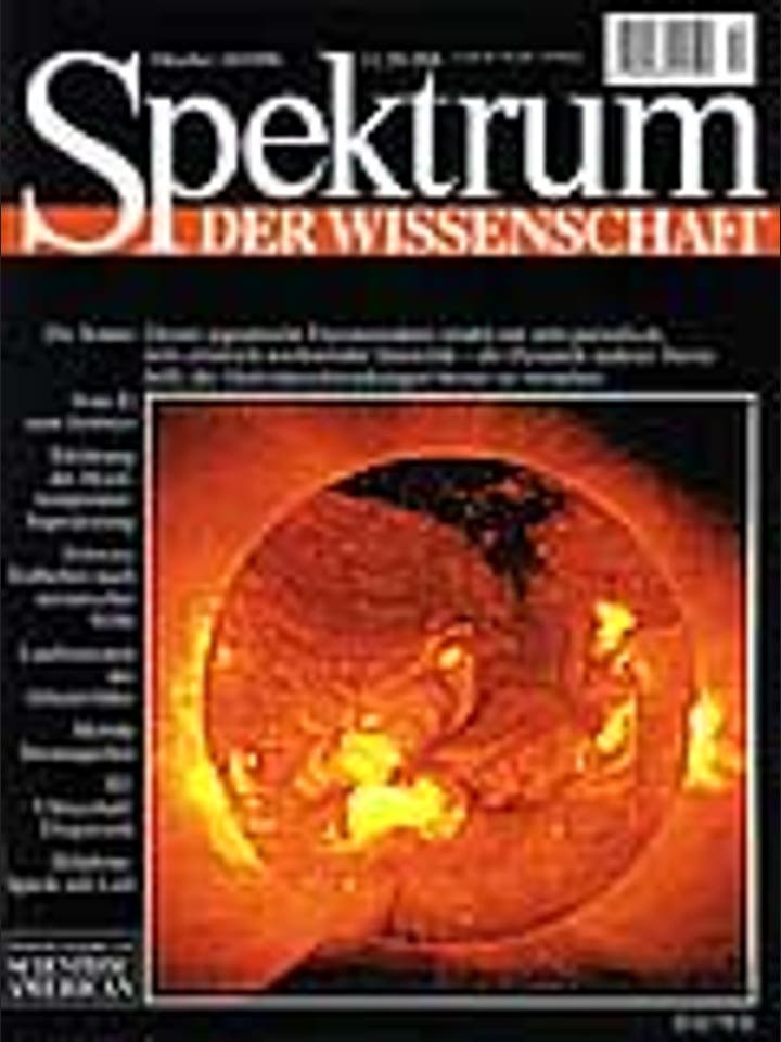 Spektrum der Wissenschaft – 10/1996 – 10 / 1996