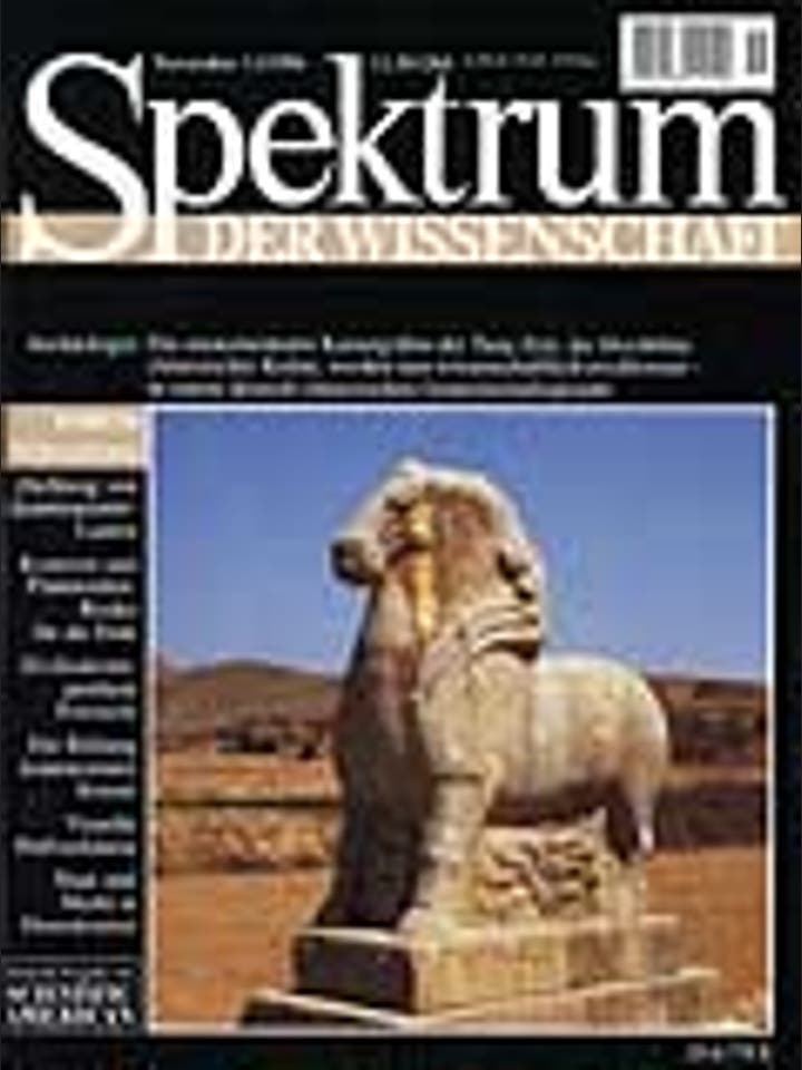 Spektrum der Wissenschaft – 11/1996 – 11 / 1996