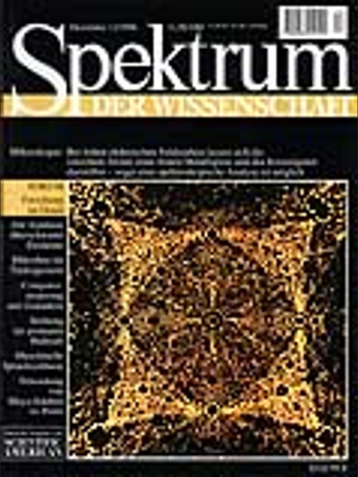 Spektrum der Wissenschaft – 12/1996 – 12 / 1996