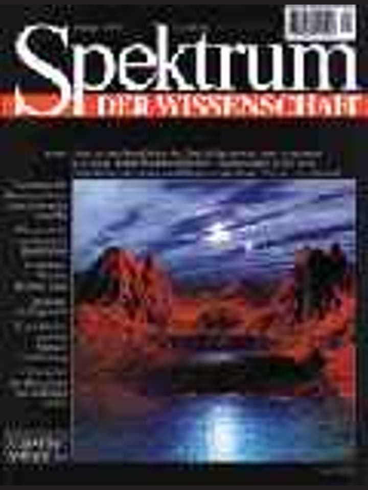 Spektrum der Wissenschaft - 1/1997 - 1 / 1997