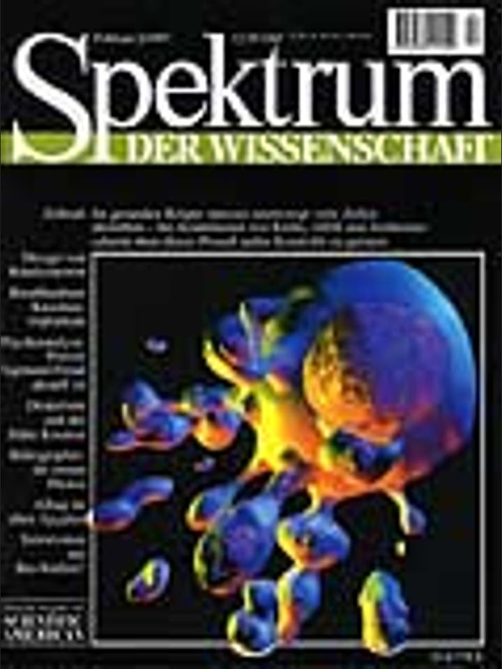 Spektrum der Wissenschaft – 2/1997 – 2 / 1997