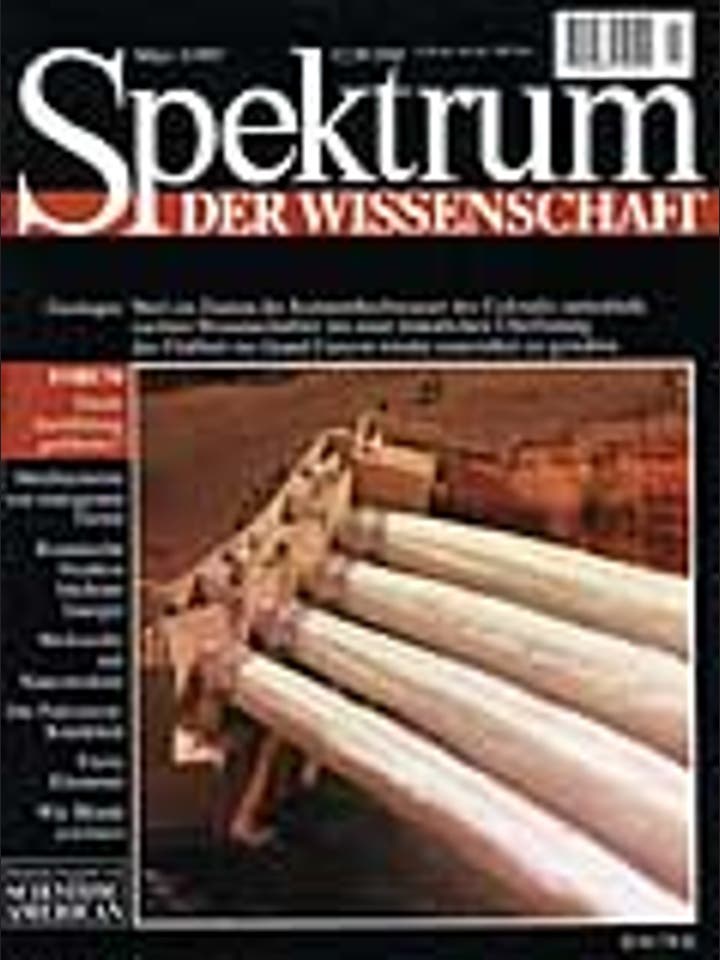 Spektrum der Wissenschaft - 3/1997 - 3 / 1997