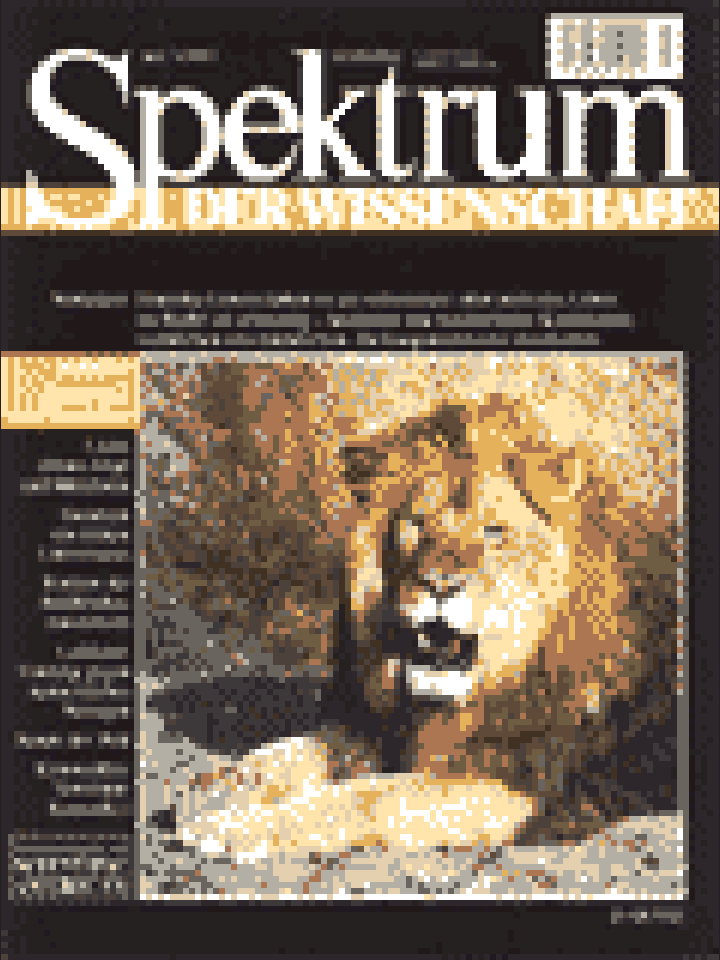 Spektrum der Wissenschaft - 7/1997 - 7 / 1997