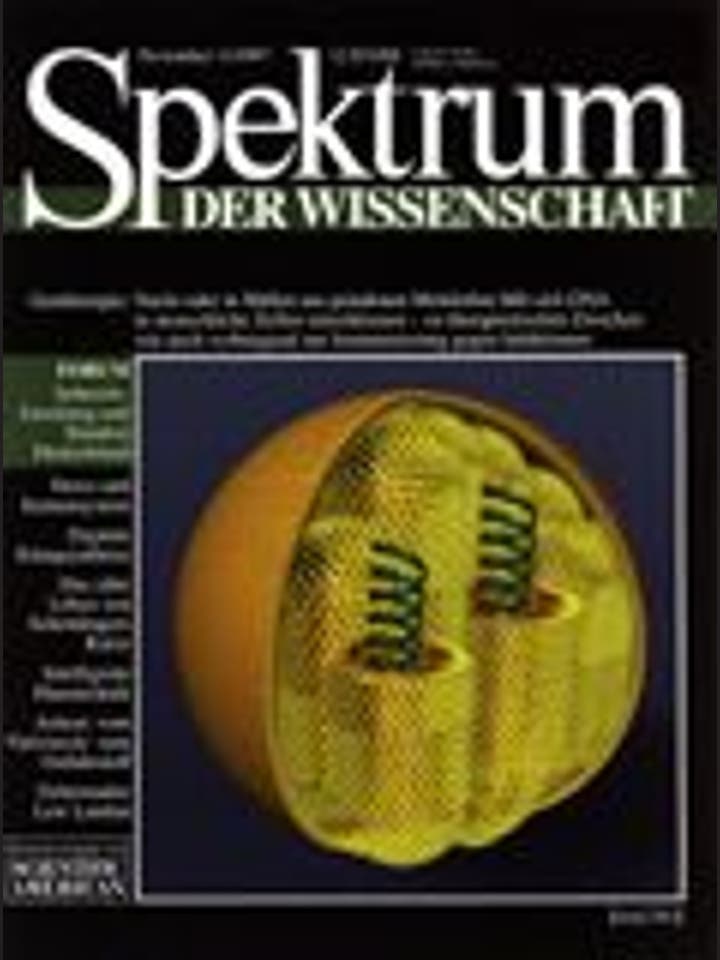 Spektrum der Wissenschaft - 11/1997 - 11 / 1997