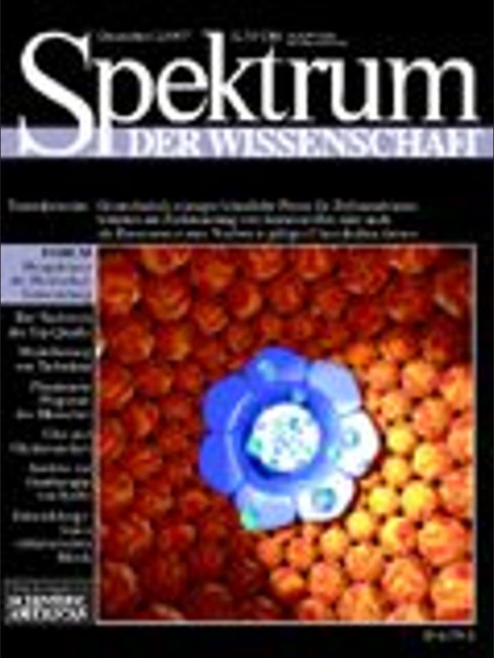 Spektrum der Wissenschaft – 12/1997 – 12 / 1997