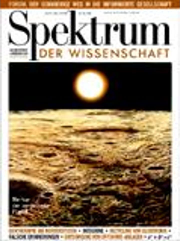 Spektrum der Wissenschaft – 1/1998 – 1 / 1998
