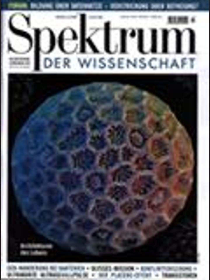Spektrum der Wissenschaft - 3/1998 - 3 / 1998