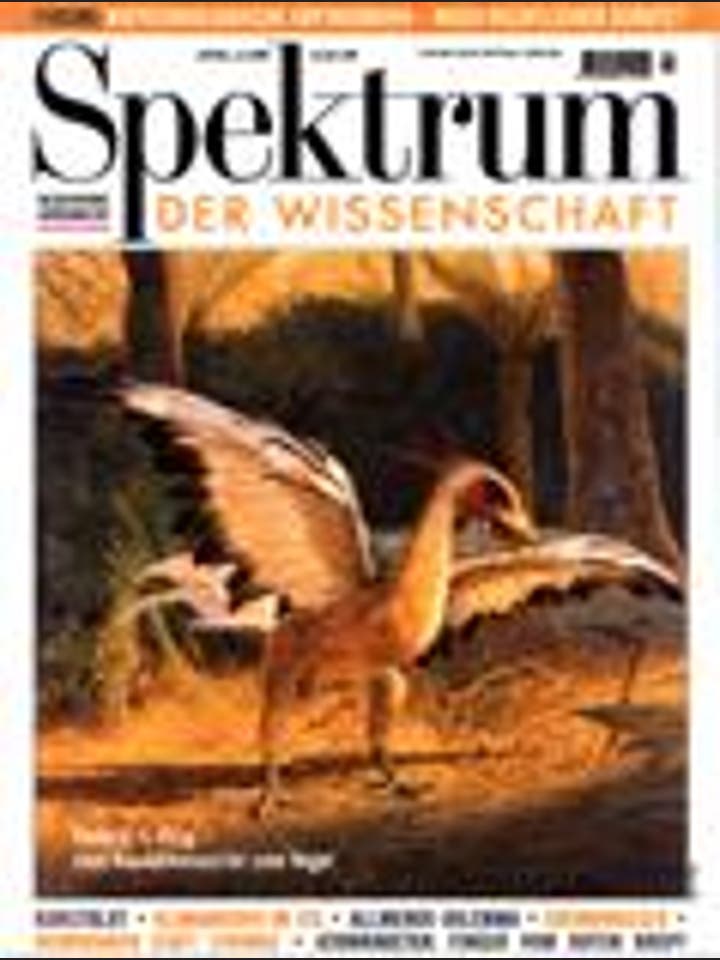 Spektrum der Wissenschaft - 4/1998 - 4 / 1998