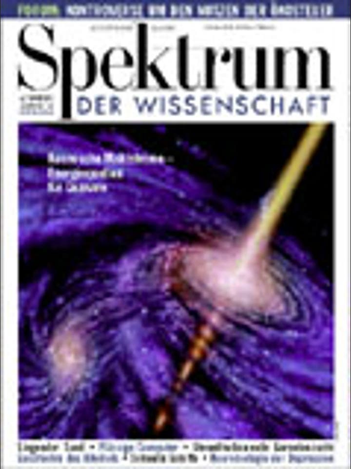 Spektrum der Wissenschaft – 8/1998 – 8 / 1998